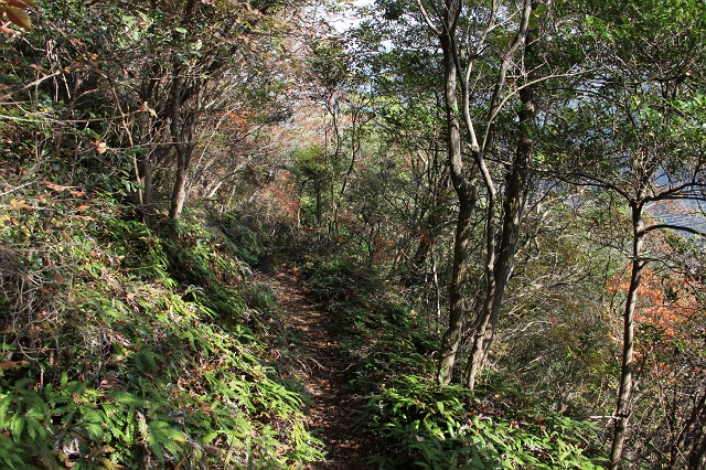 b0095061_18391114.jpg