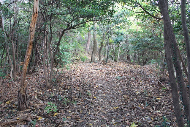 b0095061_18445937.jpg