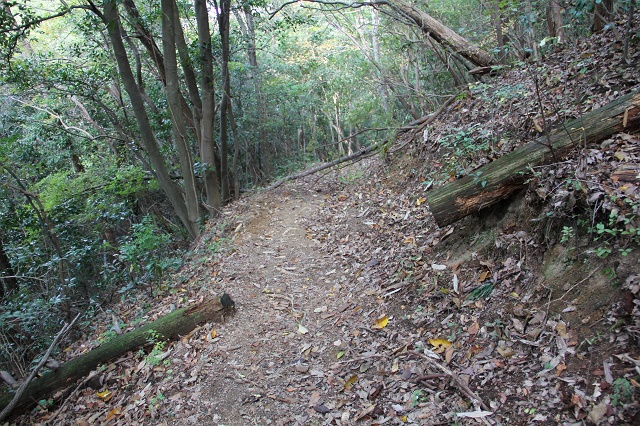 b0095061_18481140.jpg