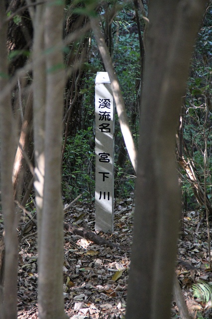 b0095061_18484299.jpg
