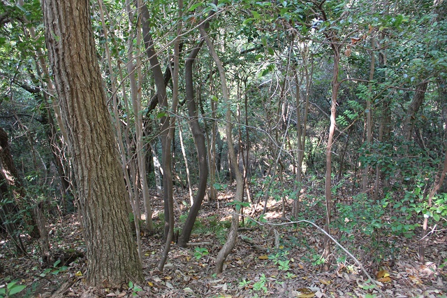 b0095061_18494263.jpg
