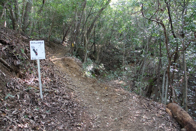 b0095061_1851727.jpg