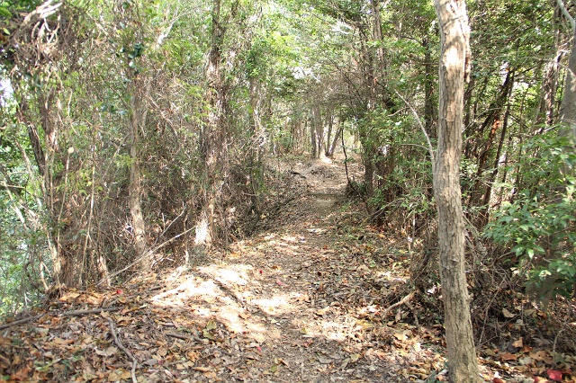 絵下山登山・矢野上登山口～野間神社ルート　その4　矢野城跡の3つの堀切と郭群_b0095061_9225980.jpg