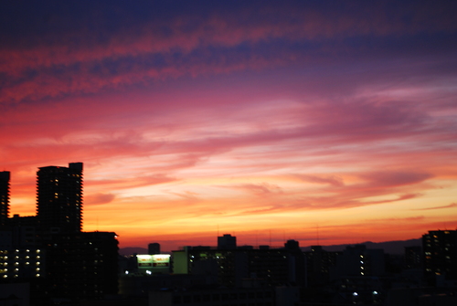 最近の夕飯。_d0292262_20171835.jpg