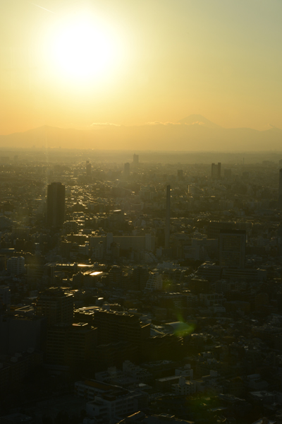 六本木ヒルズ展望台_e0171573_22523760.jpg