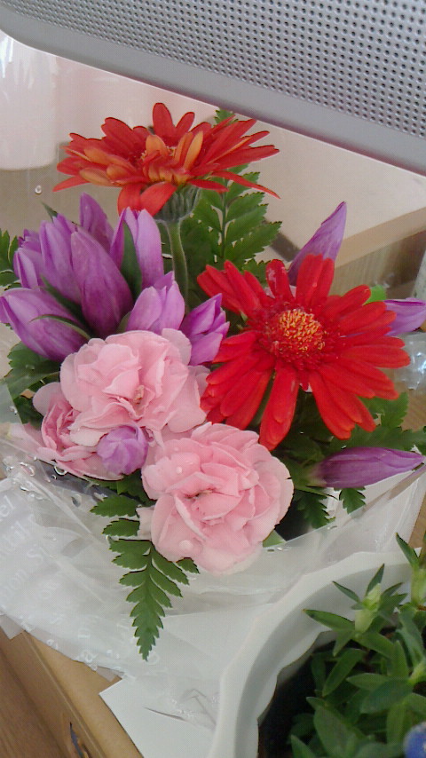 f0215179_15274735.jpg