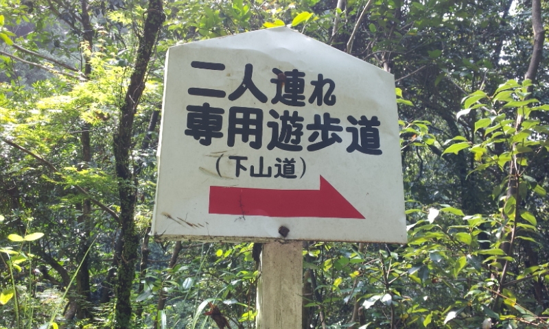 珍百景候補か?!_a0171984_19293482.jpg