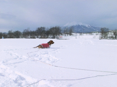 f0205887_17563616.gif