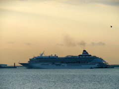 b0192588_9424222.jpg
