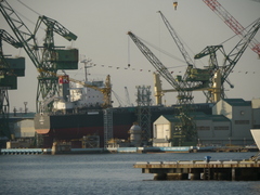 b0192588_9441716.jpg