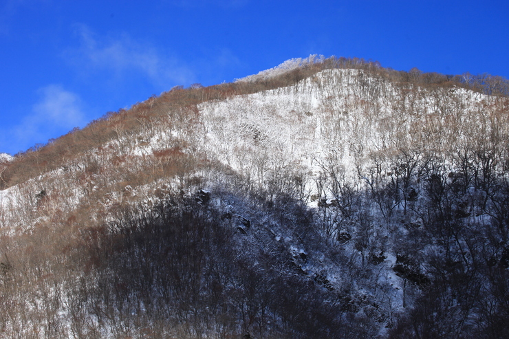 e0305388_1757997.jpg