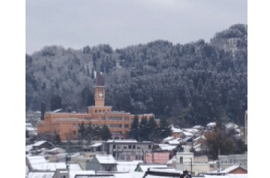 a0255790_10155519.gif