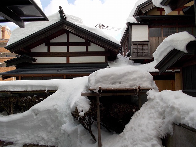 秋田で雪！_d0268290_11235091.jpg