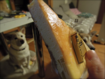 チーズケーキ_f0232994_8272661.jpg