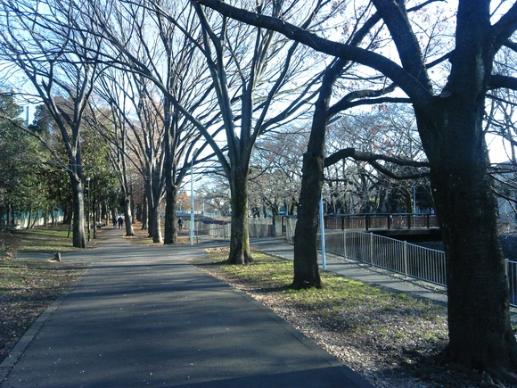 a0200902_1923775.jpg