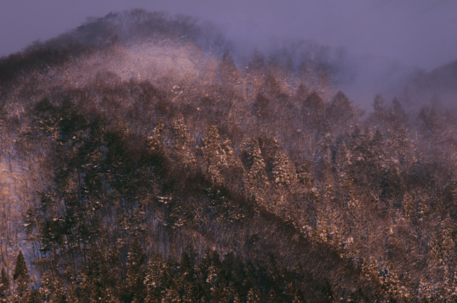 吹雪の朝に。_d0211108_20185594.jpg