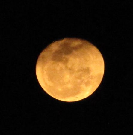 b0051109_1315133.jpg