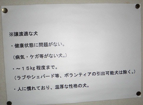 成長中です♪_f0121712_16401681.jpg