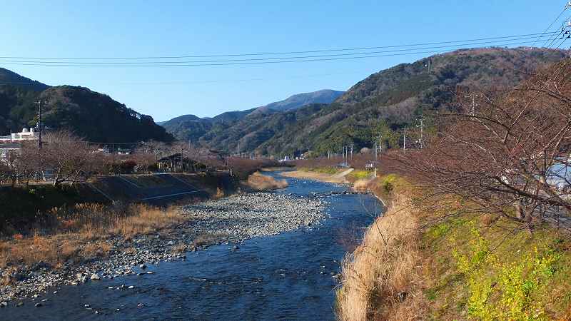 今日の河津桜まつり会場_f0182513_21245547.jpg