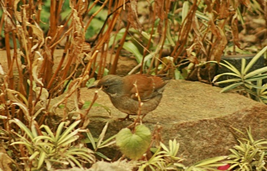 d0025414_23343521.jpg