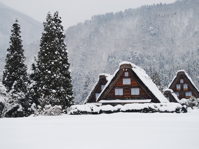 雪の旅 * 白川郷へ_b0115215_12334654.jpg