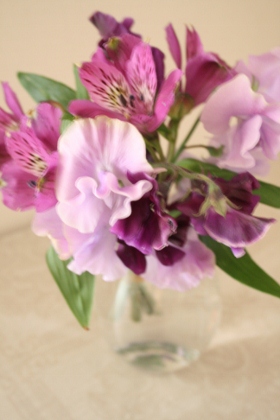 c0149120_17314372.jpg