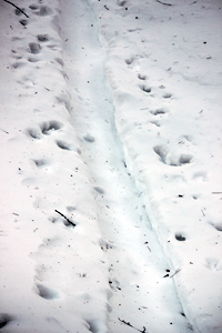 f0232920_1623595.gif