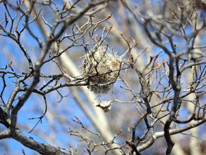 f0232920_1625045.gif