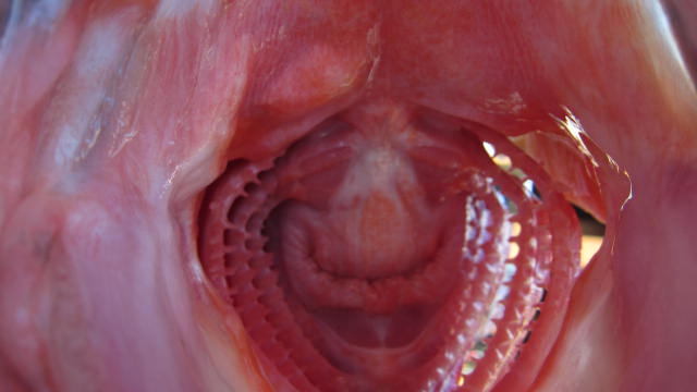 a0132631_20314881.jpg
