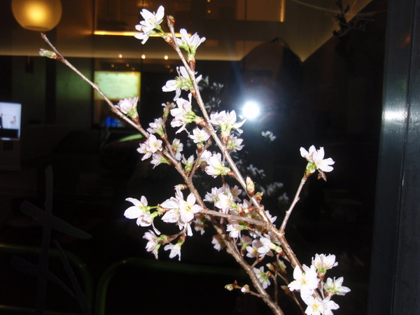 2月の個展、お休みのお知らせ_b0132442_18241836.jpg