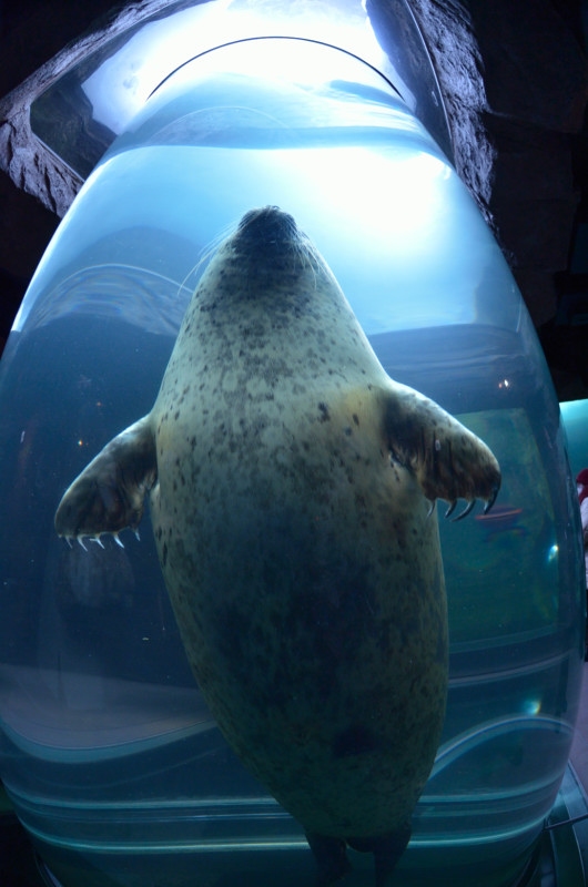 c0162846_2217578.jpg