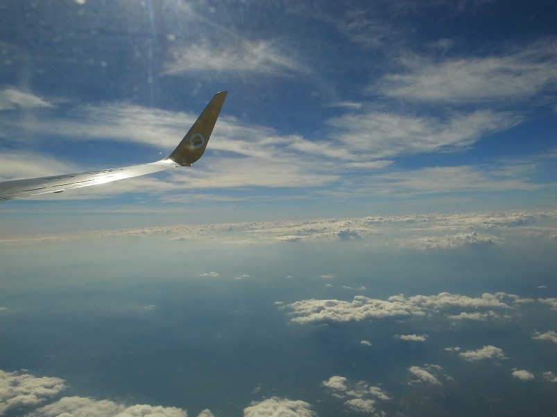 f0152550_21292973.jpg