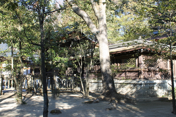 e0316056_122262.jpg