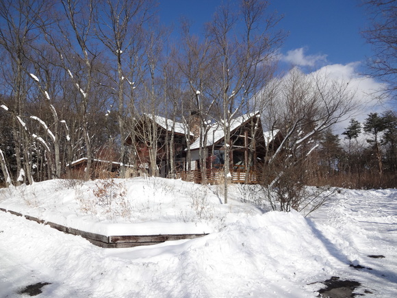 f0198556_15491422.jpg