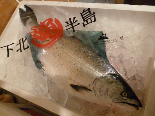 格好いいですね~_e0252966_122441.jpg