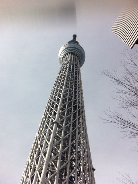 a0120372_01141.jpg