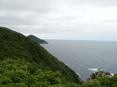 全てを肯定!_d0165772_21243857.jpg