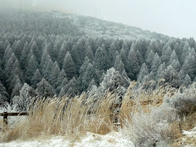c0152779_13112761.jpg