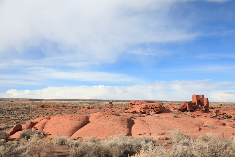 c0187779_83756.jpg