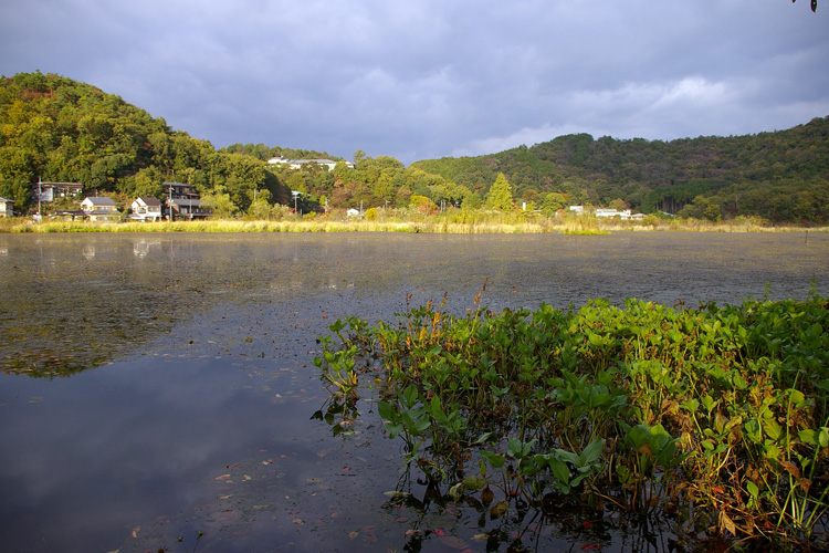 深泥池と周囲の風景_f0130879_2355296.jpg