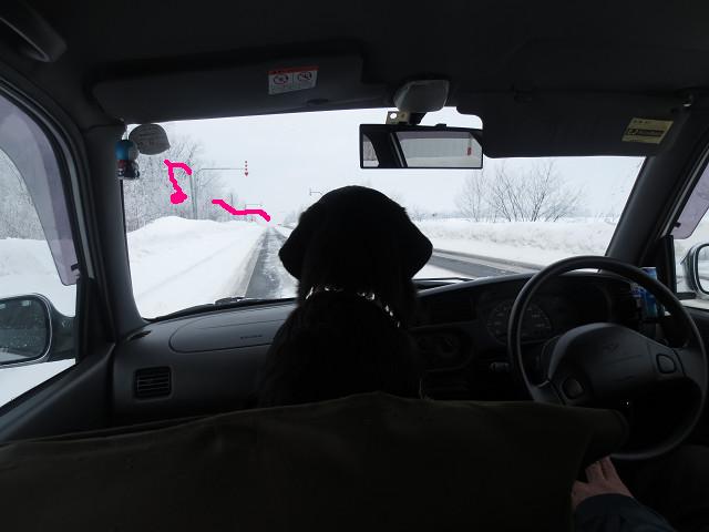 e0160787_13174365.jpg