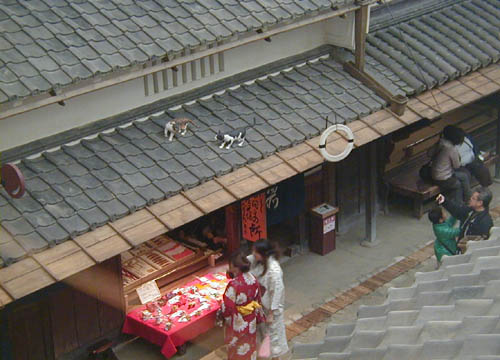 ●大阪市立住まいのミュージアム 大阪くらしの今昔館、その1_d0053294_1134940.jpg