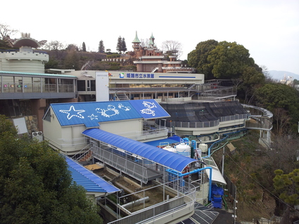 30年ぶり!姫路市立水族館_e0117398_1821410.jpg