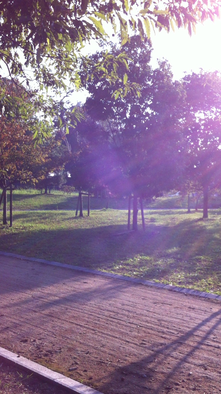 c0229500_1443935.jpg