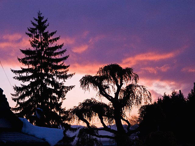 c0008502_9204171.jpg