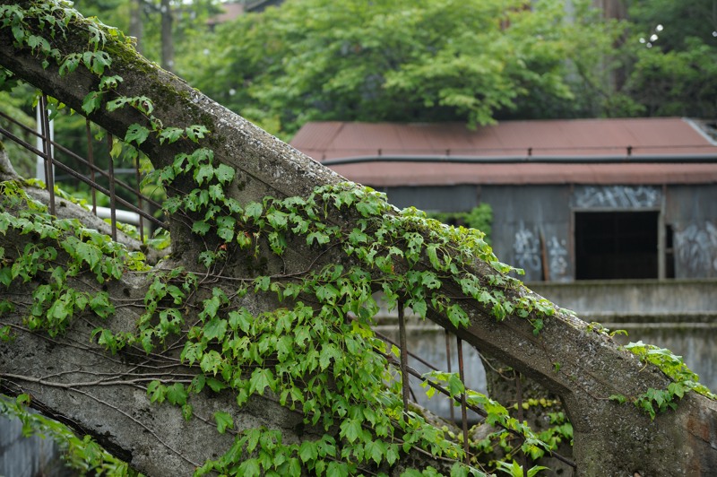d0264503_0104051.jpg
