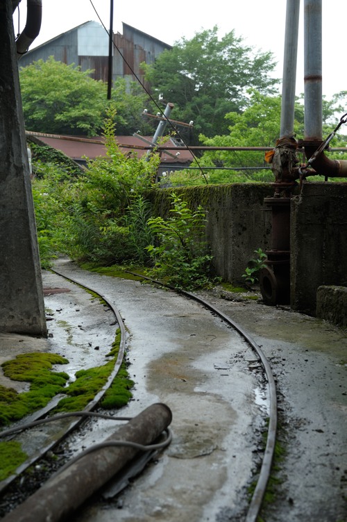 d0264503_011576.jpg