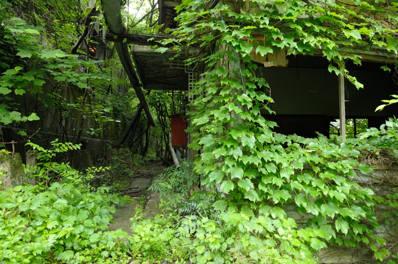 d0264503_09464.jpg