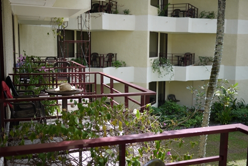 d0133704_1481321.jpg