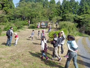b0126307_16202061.gif